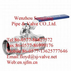 male-male thread ball valve (2pc)