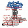 globe valve 2