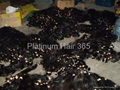 virgin nature human hair 2