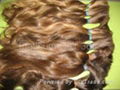 virgin nature human hair 4