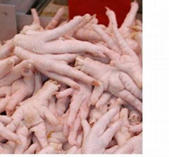 Frozen Chicken Feet