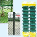 PVC coated or Galvanized chain link fence 