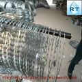 hot dipped galvanized razor barbed wire (top quality) 1