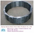 hot dipped galvanized razor barbed wire (top quality) 2