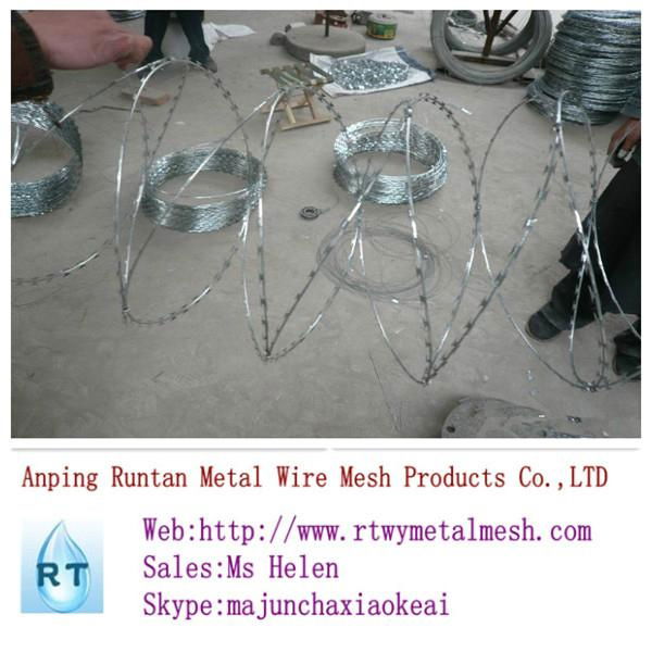 hot dipped galvanized razor barbed wire (top quality) 4