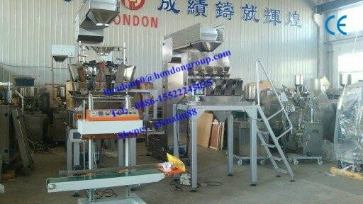 Full Automatic multi head weighing, filling and packing machine DXD-420 2