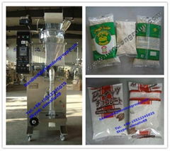 1000g Power Packing Machine Model DXDF-800