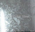 Hot dip galvanized steel coil 5