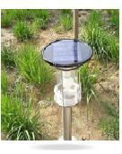 Solar LED garden lights