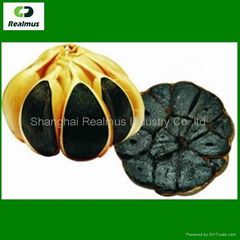 Black Garlic 