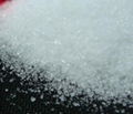 Agricultural Grade Magnesium Sulfate