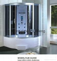 Luxury Whirlpool Bathtub Steam Shower