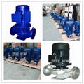 ISG Vertical Pipeline Pump 2