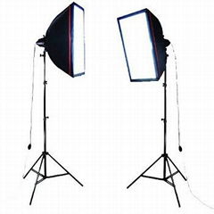 Sell 2 X 125W Professional Photographic Studio Softbox Light Lighting 