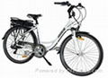  Light 36V 250W Folding Electric Bike E-Bike with Hiden Lithium Battery 