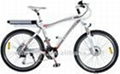 Electric bike with 2 years warranty