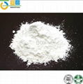 carboxymethyl starch sodium CMS 1