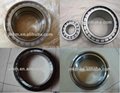 cylindrical roller bearing SL04 5024