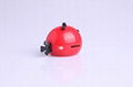 Hotsale Promotion Cute birds mini Mp3 player 5