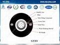 GYXY Optical fiber cable