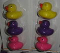 Lovely Duck Erasers