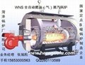 gas fired boiler