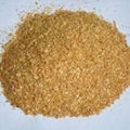 corn gluten feed 1