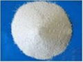 Feed Grade Calcium Hydrogen Phosphate 1