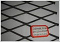 Expanded Metal Mesh 2