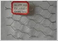 Hexagonal Wire Mesh 2