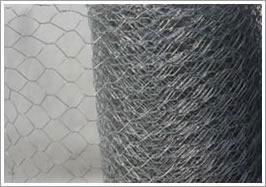 Hexagonal Wire Mesh