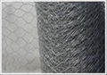 Hexagonal Wire Mesh 1