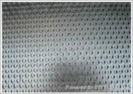 Perforated Metal Mesh 4