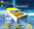 newest 48 eggs ce marked transparent automatic chicken egg incubator  2