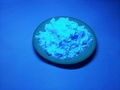 Blue fluorescent/phosphor