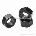 Hex nut 1