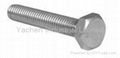 Hex Bolt DIN931 2