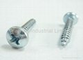 DIN7981 Phillips Pan Head Self Tapping Screw
