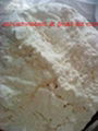 Succinic acid  Natural  CAS NO: 110-15-6