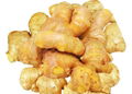 Ginger oil