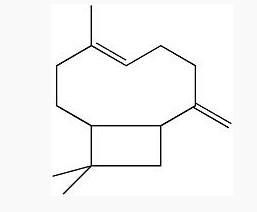 Beta-Caryophyllene  CAS .：87-44-5 