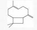 Beta-Caryophyllene  CAS .：87-44-5  1