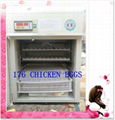 Automatic Industrial Small Egg Incubator YZTIE-4 CE Approved 1