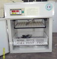 2013 Best Selling Automatic Digital Egg Incubator YZITE-2 CE Approved  1