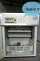 CE marked Digital quail egg incubator