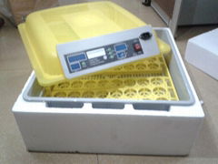 80 USD Full Automatic Egg-Turning Best price Mini Egg Incubators YZ8-48 