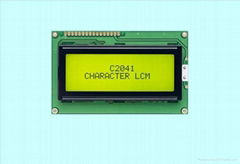 204 character LCD module