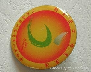 Shenzhen Badge 2