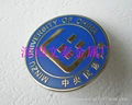 Shenzhen Badge 4