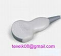 GE C36 Convex Ultrasound Probe For Logiq